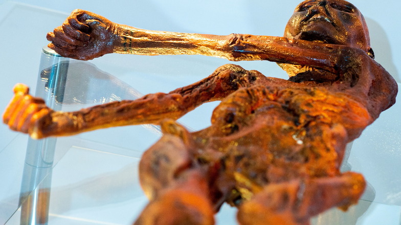 Ein Replikat des 1991 in den Ötztaler Alpen entdeckten Steinzeitmenschen Ötzi. Diese Kopie vom Mann aus dem Eis befindet sich in einer nachgebildeten Kältekammer im Museum für Naturkunde.