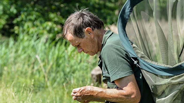 Seit knapp 20 Jahren beschäftigen Herbert Schnabel die Libellen im europäischen Großschutzgebiet in der Lausitz.