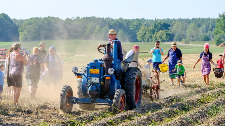 Beim Traktorentreffen 2019 zeigte Bernd Eichhorn aus Bärwalde seinem Lanz Bulldog von 1938 bei der Kartoffelernte.