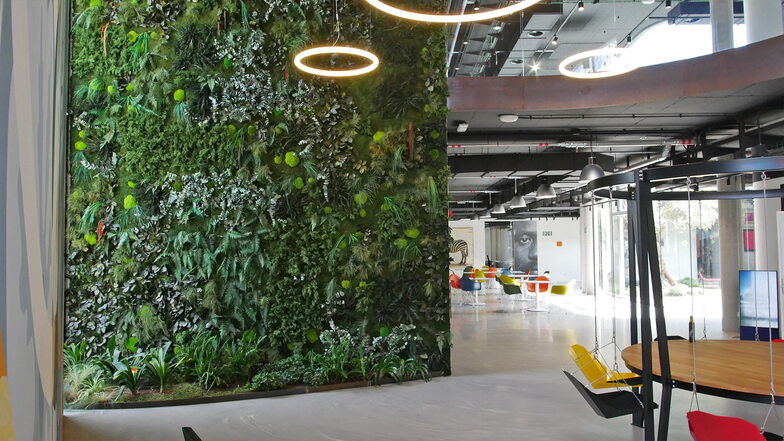 In einem modernen Bürohaus auf Mallorca hat die Firma Moos Moos Wände gestaltet.