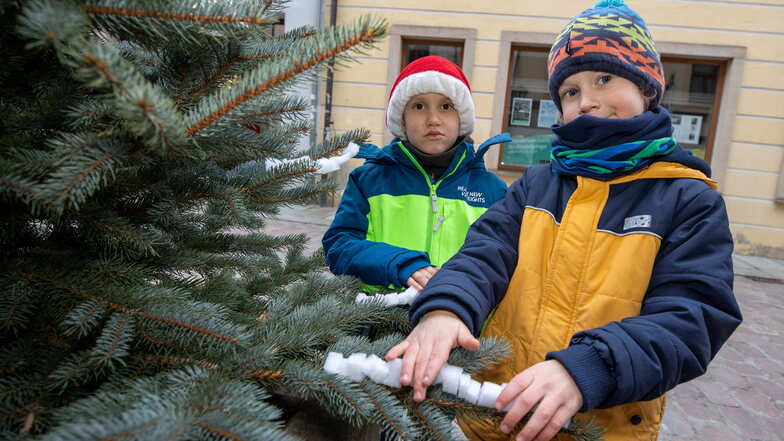 Helfende Weihnachtswichtel: Conner (l.) und Oskar aus der Kita in Wehlen bestücken in Pirna die Bäume mit selbst gebasteltem "Kunstschnee".