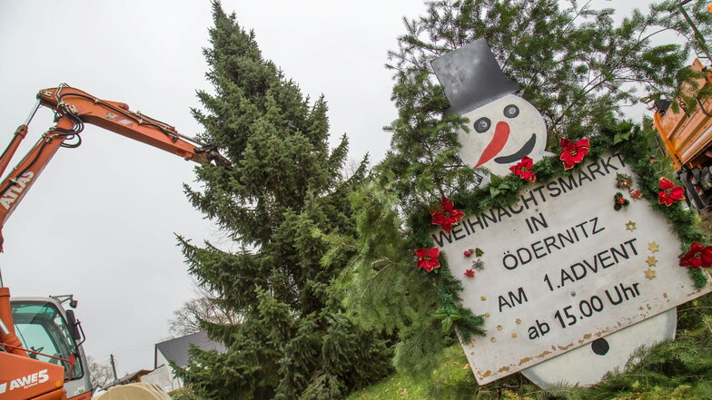 In Ödernitz steht auch dieses Jahr wieder ein Weihnachtsbaum und zum ersten Advent öffnet der kleine Weihnachtsmarkt.