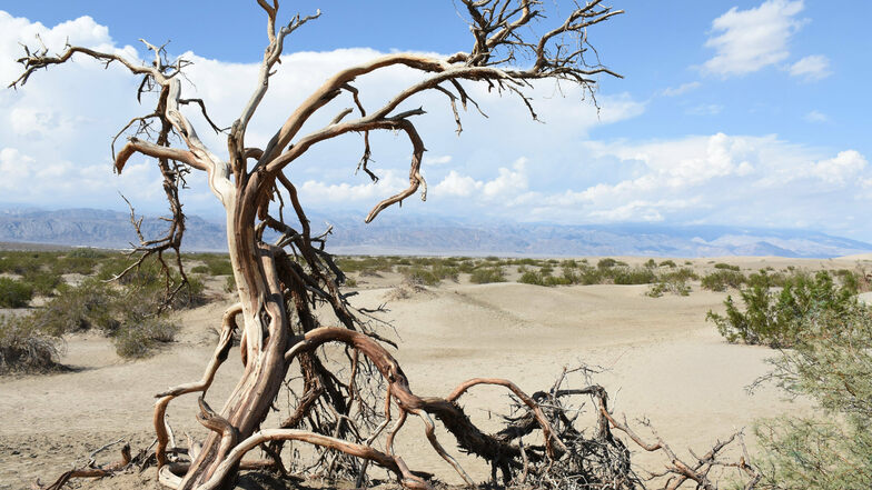 Im für seine unglaubliche Hitze berüchtigten Death Valley im US-Staat Kalifornien ist am Sonntag eine rekordverdächtige Temperatur gemessen worden.