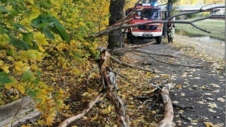 20 Einsätze hatten die Bautzener Feuerwehren am Donnerstag wegen des Sturms. Vor allem mussten sie Äste und Bäume von Straßen und Wegen beseitigen.