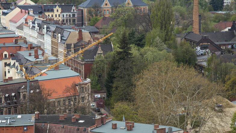Von oben ziemlich grün: Der einstige Görlitzer Schlachthof, von der Lutherkirche aus betrachtet. Im Hintergrund ist das Laborgebäude auf der Cottbuser Straße zu erkennen.