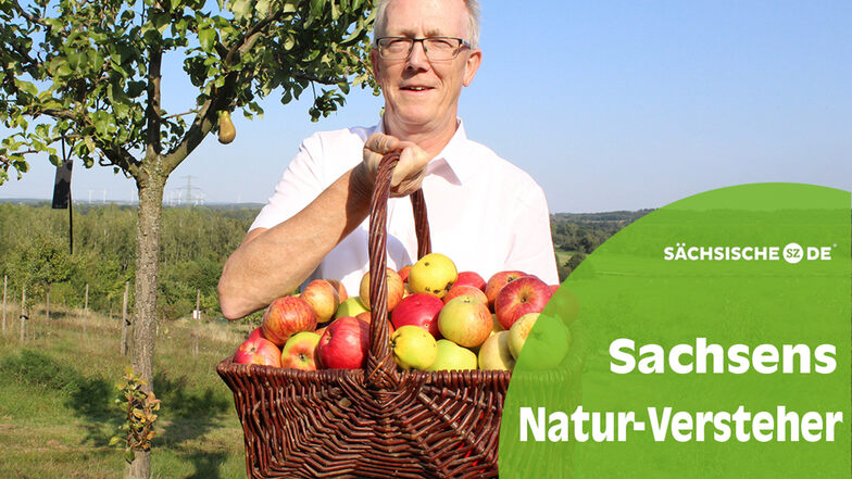 Lecker: Michael Schlitt kümmert sich mit seinen Mitstreitern um den Erhalt alter Obstsorten, wozu nicht nur Äpfel gehören.