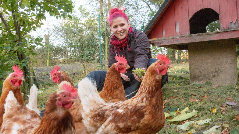 Auch Hühner gibt es im Tierheim in Hauswalde. Tierpflegerin Josephin Braun bietet ihnen Weintrauben an.