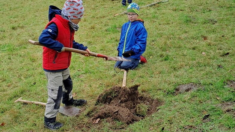 Einmal einen Baum pflanzen: Für diese Kinder ging dieser Wunsch jetzt im Seidewitztal in Erfüllung.