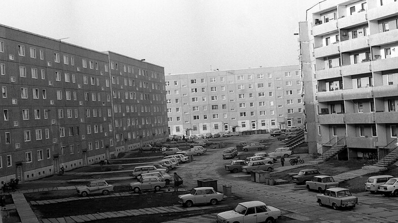 Auf der Antonstraße war 1989 noch so gut wie gar kein Baum oder Strauch zu sehen.