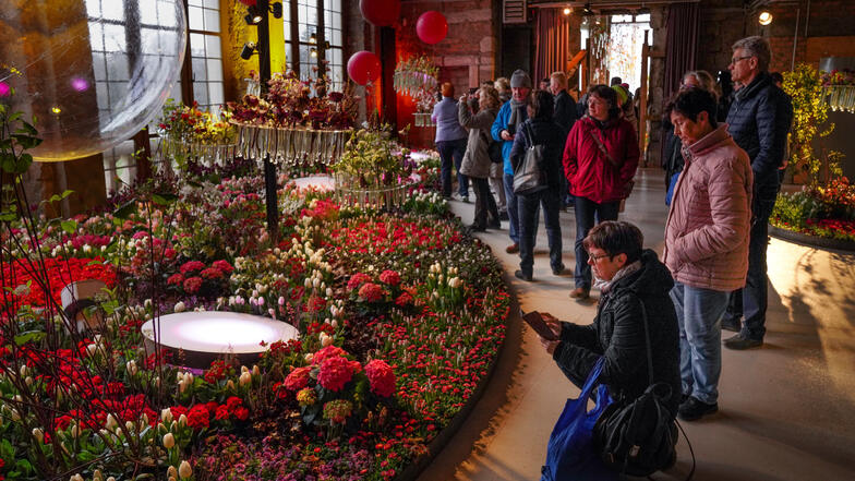Die Blumenschau "Frühling im Palais" vor wenigen Wochen endete mit einem Besucherrekord.