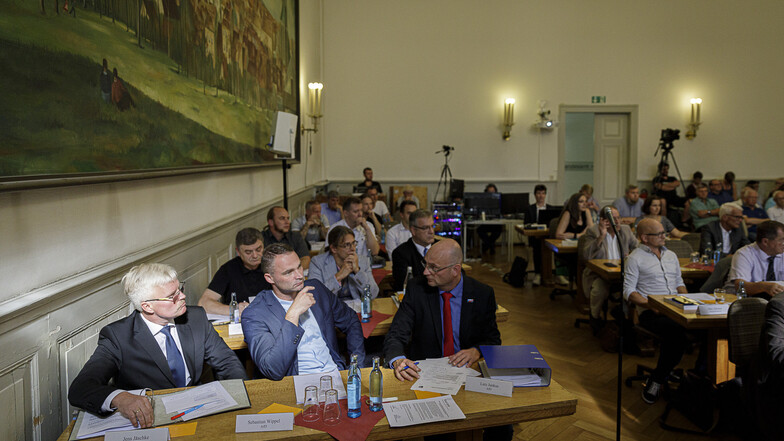 Die AfD-Fraktion im Stadtrat (im Bild links) möchte die Übertragung der Stadtratssitzungen dauerhaft speichern und veröffentlichen.