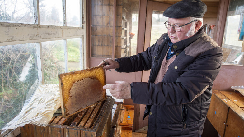 Keine Biene zu sehen: Im Winter hat auch der Imker weniger zu tun. Die Bienen haben sich in den Stock zurückgezogen, wie Armin Lindner erklärt. Über die Wintermonate hängen sie in der sogenannten Wintertraube, wärmen sich gegenseitig.