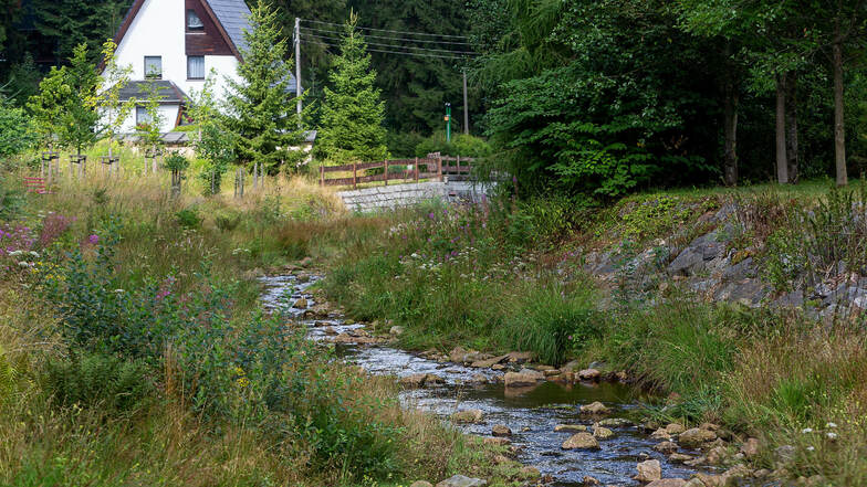 Jetzt in Trockenzeiten ist die Weißeritz in Waldbärenburg ein sanftes Bächlein. Sie kann aber auch ganz anders. Daher ist an ihrem Oberlauf ein weiteres Hochwasserrückhaltebecken geplant.
