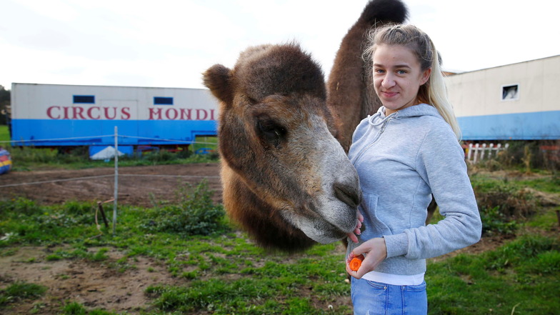 Kassandra Spindler füttert den Kamelbullen Sambo und geht mit ihm regelmäßig spazieren. Für dieses und andere Tiere wären jetzt Impfungen fällig.
