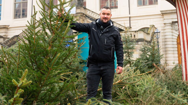 Wohin mit den Weihnachtsbäumen vom "Advent auf dem Neumarkt"? Marktleiter Lars Henning verkaufte sie für den guten Zweck.