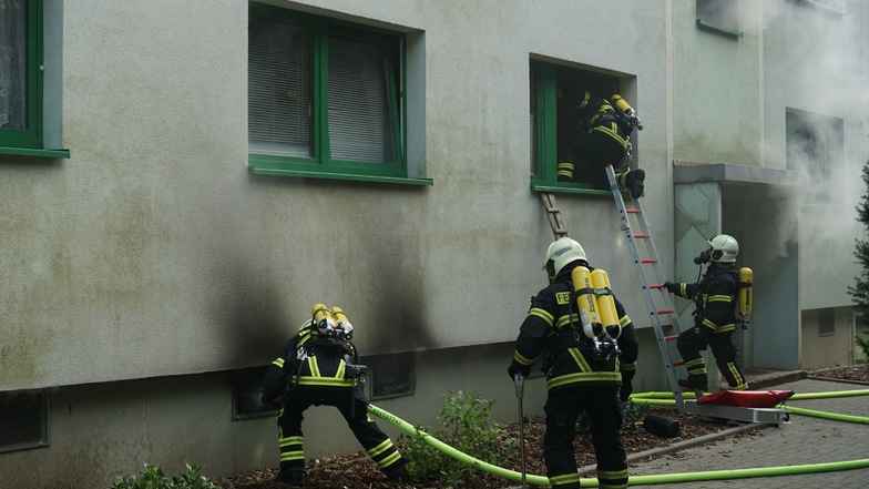 Mehrere Feuerwehrleute wurden am Sonntagabend zu einem Kellerbrand in Döbeln Nord gerufen. Sie versuchten durch das Kellerfenster zu löschen und sich per Leiter Zutritt zu verschaffen.