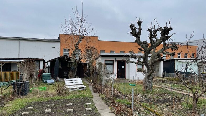 Dieses Foto vom Dienstag zeigt, dass der Kirschbaum - hier links im Bild vor der dunkelbraunen Hütte - noch auf der Parzelle in der Gorbitzer Kleingartensparte steht.