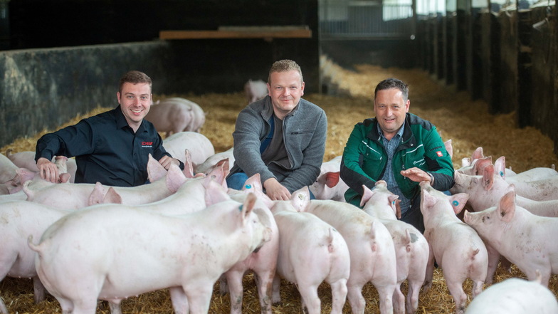 Haben sich zusammengetan, um Fleischfans beste Qualität aus erster Hand zu liefern: Fleischer Christoph Schempp, Rewe-Chef Björn Keyser und der Ebersbacher Landwirt Torsten Pschorn.