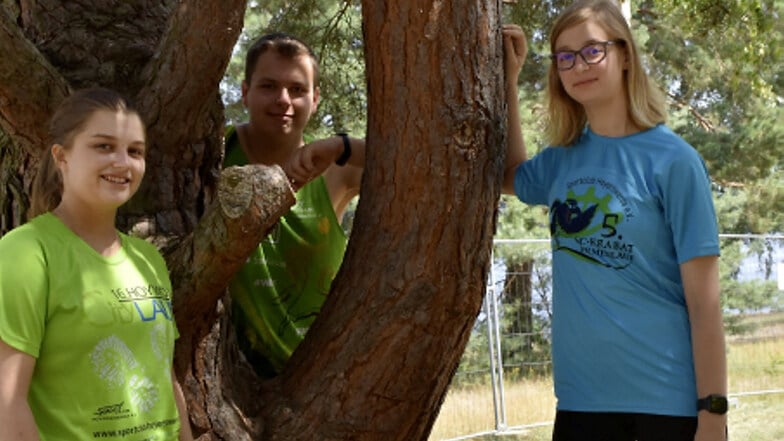 Beim Sportclub Hoyerswerda werden derzeit Wibke Gahrig (v. l.), Tobias Scholze und Luisa Kruscha ausgebildet.