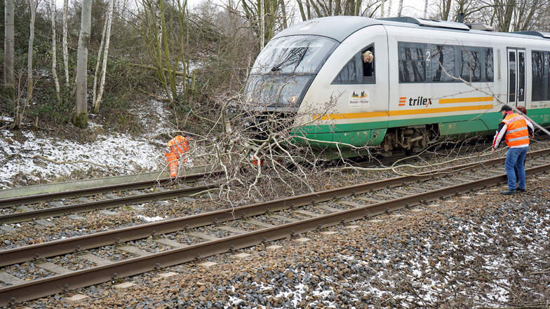 Umgestürzte Bäume auf den Schienen – der Durchzug von Sturmtief „Sabine“ könnte zu Einschränkungen im Bahnverkehr führen (Symbolfoto).