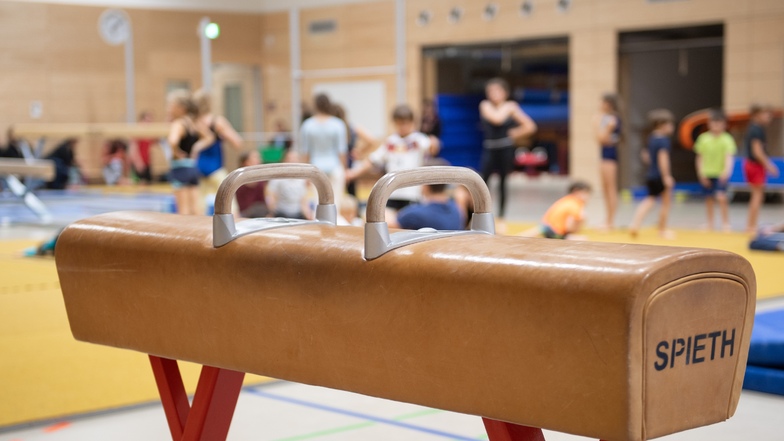 In Sachsen ist fast jedes zweite Kind im Alter von 7 bis 14 Jahren Mitglied in einem Sportverein.