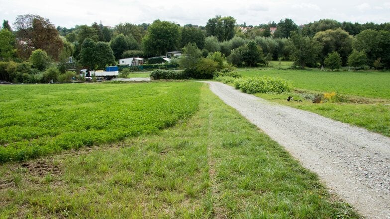 Dieser Weg vom Mockritzer Wohnpark Franz-Bänsch-Straße und andere Zufahrten mussten als Baustraßen hergerichtet werden.