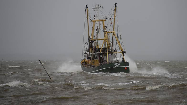 Der Fischkutter "Hartje" fährt vor Dagebüll über die sturmgepeitschte Nordsee.