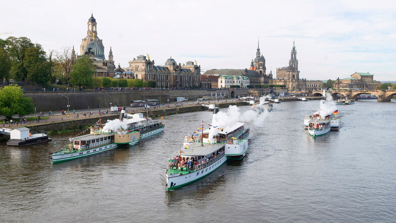 Die Dampfschiffe der Weißen Flotte fahren ab sofort wieder regelmäßig auf der Elbe.