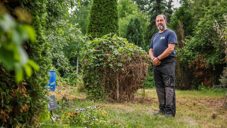 Ronny Petz hat 2020 den Dresdner Tierfriedhof übernommen. Er weiß, dass er mit Pflege noch viel zu tun hat.