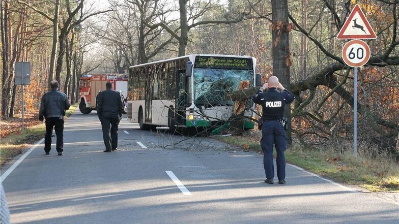 Ein zum Glück noch fahrgastloser Bus krachte auf offener Strecke frontal gegen einen Baum.