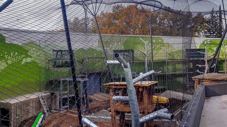 Die Arbeiten am Innenhof sind fast abgeschlossen: In den kommenden Wochen wird hier noch Rasen gesät und Seile und Netze angebracht.