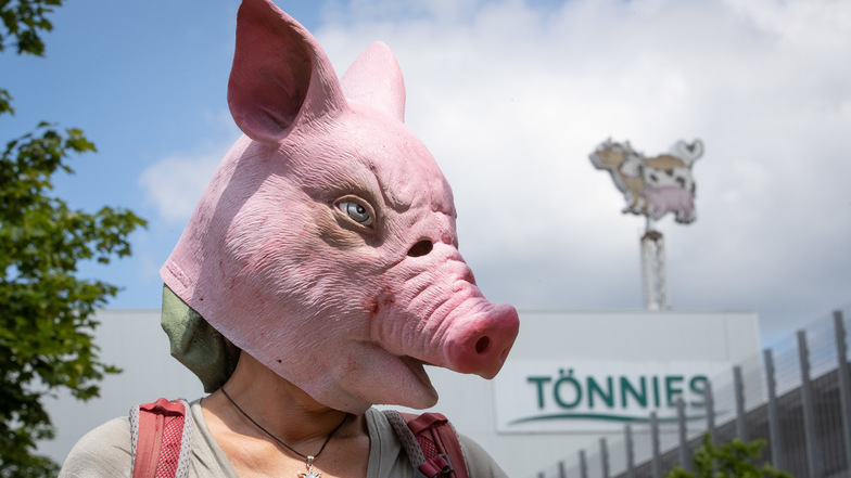 Eine Person trägt eine Schweine-Maske und steht während einer Demonstration gegen Tierquälerei vor dem Betriebsgelände der Fleischfabrik Tönnies. Tönnies muss seinen Hauptproduktionsbetrieb in Rheda-Wiedenbrück in Westfalen bis auf weiteres herunterfahren