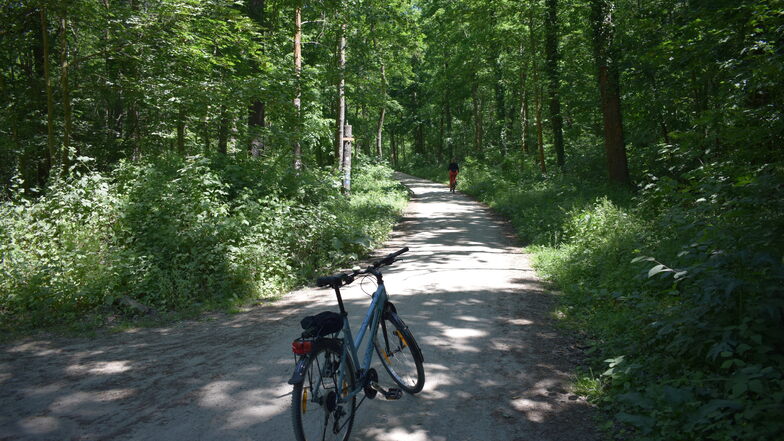 Kurz nach der Einfahrt in die Heide. Zuerst führt die Route über den "Alten Kannenhenkel".