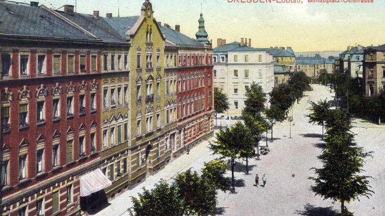 Auf dieser Postkarte sind  junge Bäume am Löbtauer Bünauplatz zu sehen. 