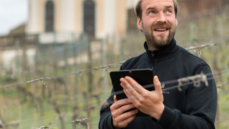 Im Weinberg setzt Weinbauleiter Till Neumeister moderne Technik wie ein Tablet ein.