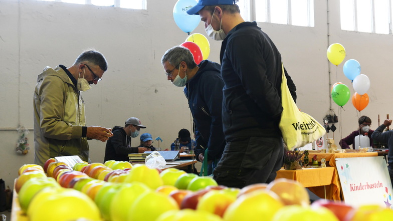 Pomologe und Obstsortenexperte Roland Lebe bestimmte beim Apfeltag in Leisnig die von den Besuchern mitgebrachten Apfelsorten.