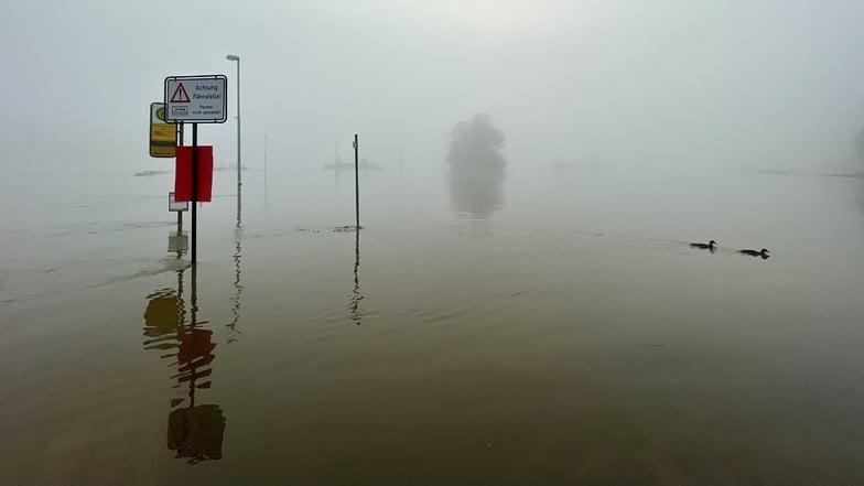 Am Morgen war es in vielerorts noch neblig - wie hier am versunkenen Dresdner Elbufer.