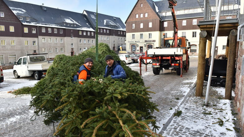 Bauhofmitarbeiter richteten den Baum wieder auf.