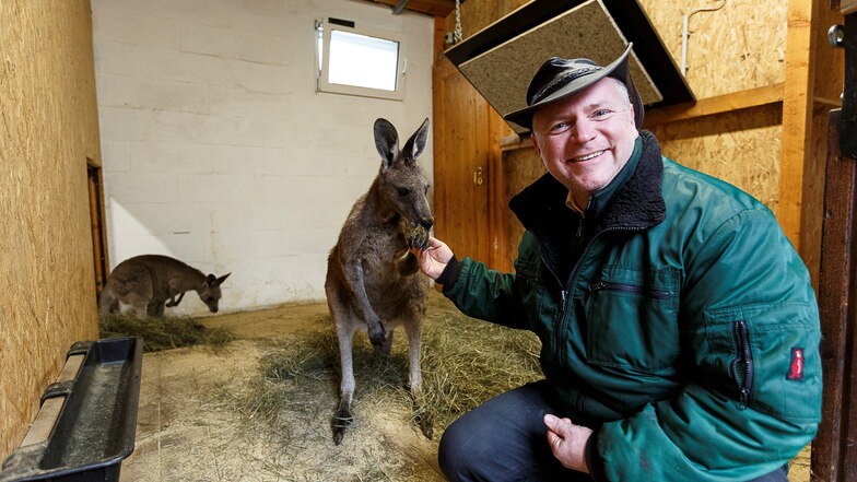 Tierparkdirektor Sven Hammer kann sich freuen: Für eines der Kängurus übernimmt F.T. Immobilien die Patenschaft.