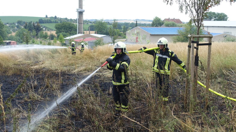 Auf einem ausgedehnten Grundstück zwischen Oschatzer und Riesaer Straße brannte hüfthohes Gras auf einer größeren Fläche.