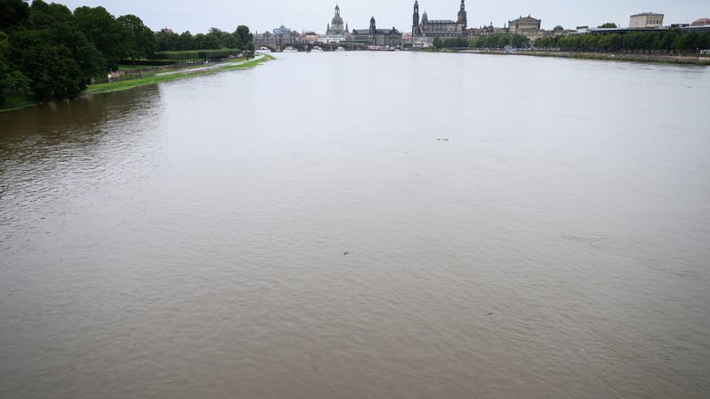 Dresden Hochwasser - Figure 1