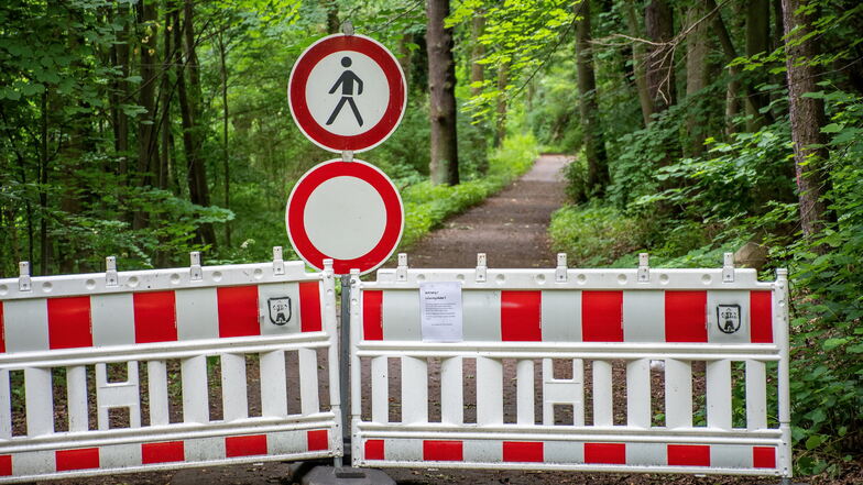 Der Wanderweg zwischen Waldheim und Rauschenthal ist bereits seit längerer Zeit gesperrt. Ob noch weitere Sperrungen folgen, ist zurzeit unklar.