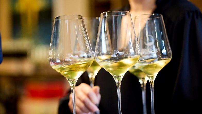 Es geht um edle Tropfen: Die weltgrößte Fachmesse für Weine und Spirituosen ProWein in Düsseldorf geht am Dienstagabend zu Ende. Acht Meißner Weingüter waren dabei.