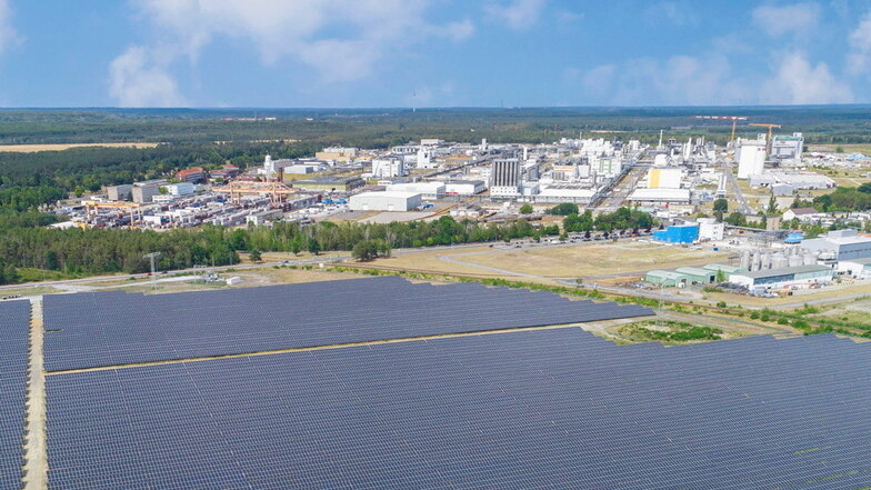 Neben BASF Schwarzheide gibt es schon einen großen Solarpark, mehr ist geplant.