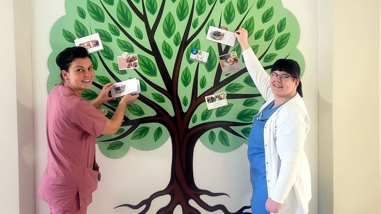 Zwei Mitarbeiterinnen der Wöchnerinnenstation am Klinikum Görlitz zeigen den neuen "Magnetbaum" - mit Dankeskarten junger Mütter und Väter.