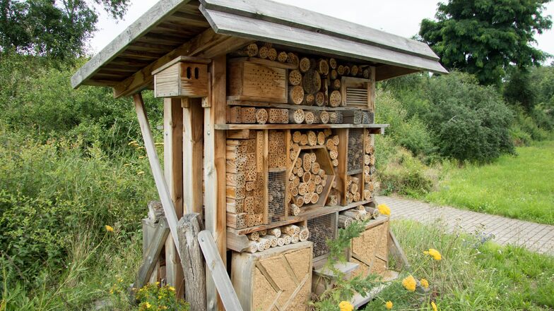 Solche Insektenhotels wurden in der Kaditzer Kläranlage aufgebaut. So gibt es dort immer bessere Bedingungen für Wildbienen, Schmetterlinge und andere Insekten.