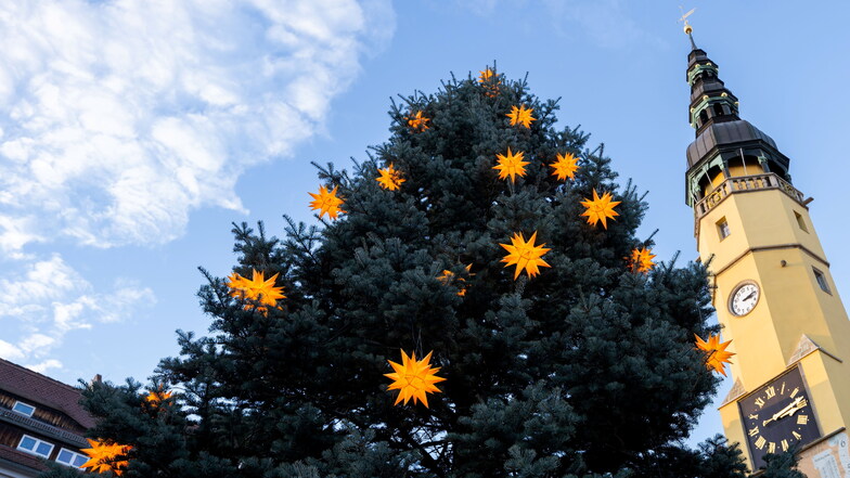 Der Weihnachtsbaum auf dem Wenzelsmarkt in Bautzen ist 2023 zwar nicht zum höchsten, aber zum schönsten in Sachsen erkoren worden.