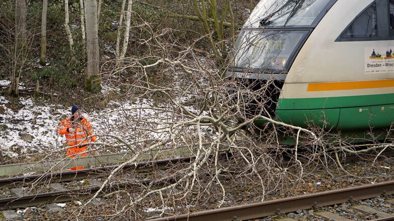 Ein Baum auf den Gleisen hat am Donnerstag im Oberland für Zugverspätungen gesorgt.