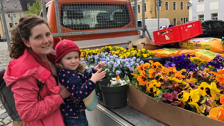 Bischofswerda pflanzt 1.000 Sommerblumen in der Stadt