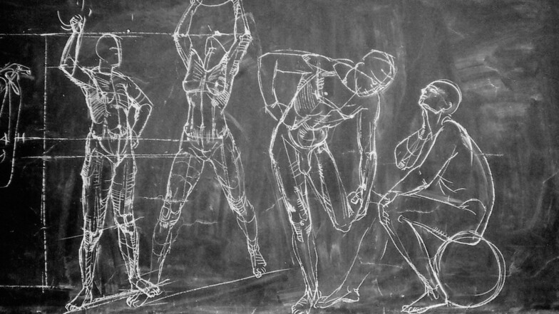 Wandtafelzeichnung von Gottfried Bammes aus dem Anatomieunterricht, 1980.